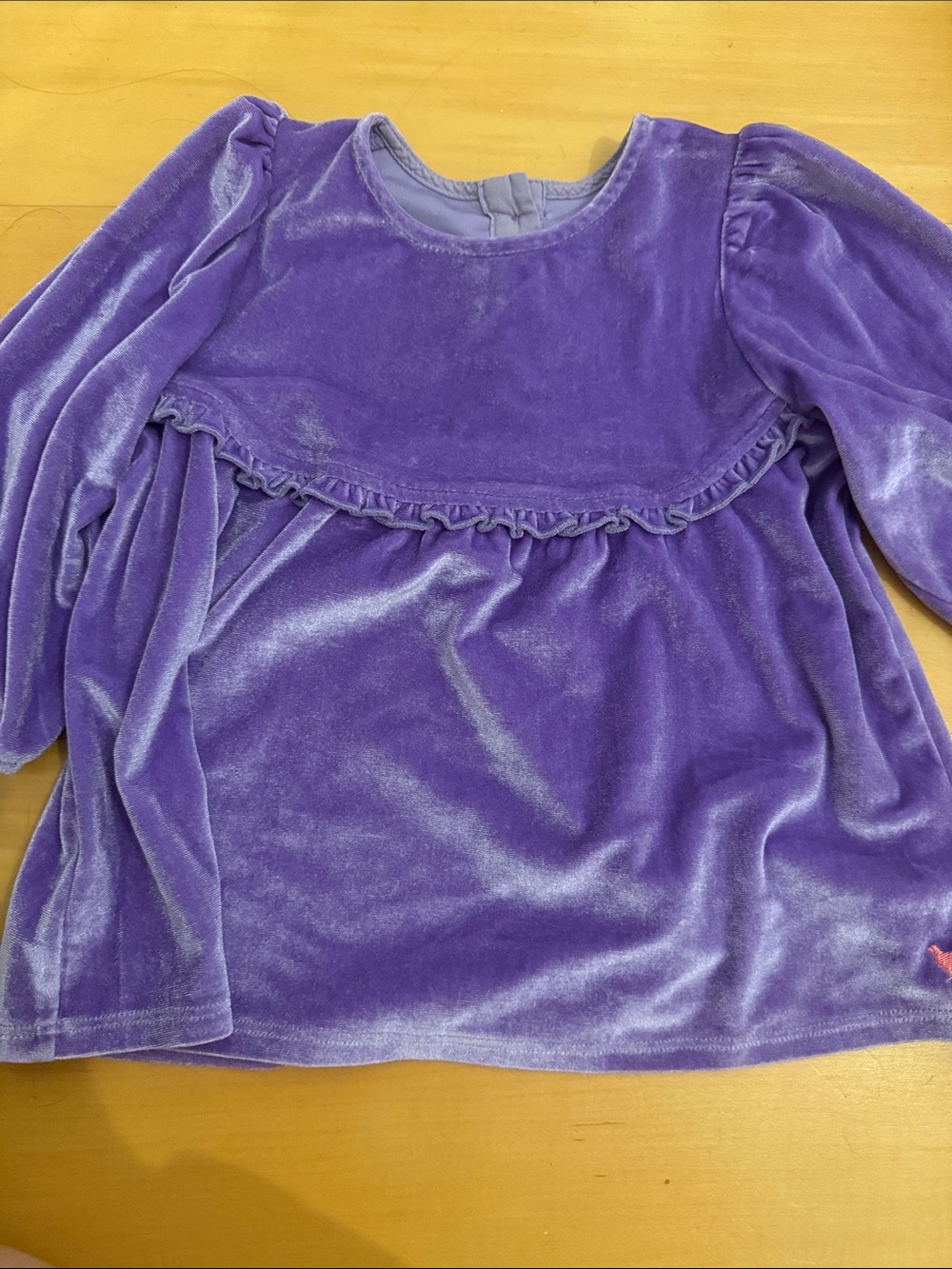Pink Chicken Velour Blouse